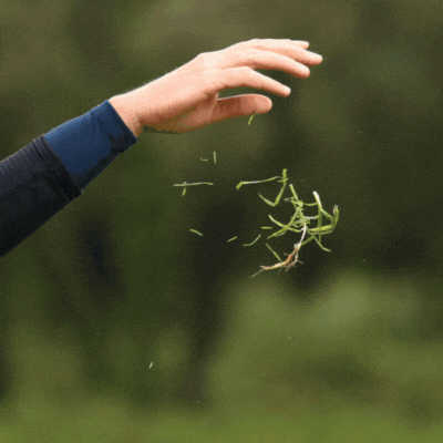 Austin golfer hitting low flight shot into the wind