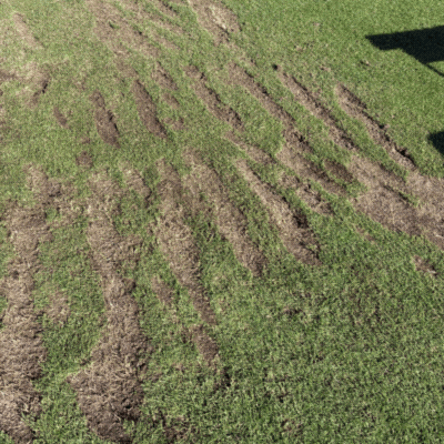 Professional golf divot pattern on driving range showing proper practice technique
